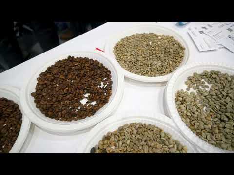 Vista previa video Cafés de Colombia Expo