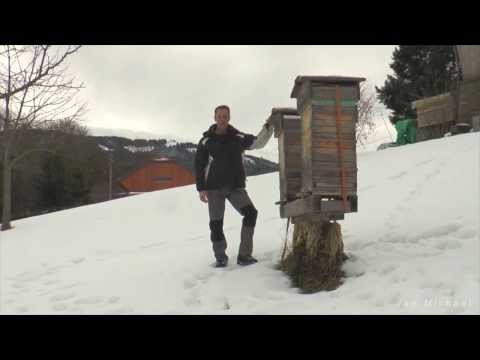 André Wermelinger - Naturnahe Bienenhaltung in der Schweiz mit der Warré