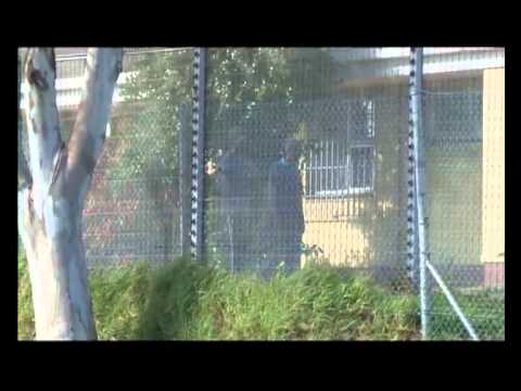 Special Assignment, Still in the Shadows