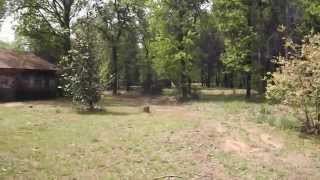 AUCTION * 5± ACRES * NICE BRICK HOME * 2 SHOP BUILDINGS