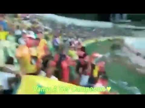 "Señores yo soy del real de cartagena" Barra: Rebelión Auriverde Norte &bull; Club: Real Cartagena