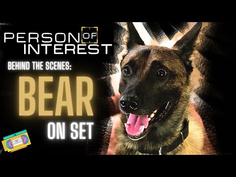 Thumbnail for Person of Interest (2013) Season 3: Behind the Scenes - Bear on Set [1080p HD] by Y&T