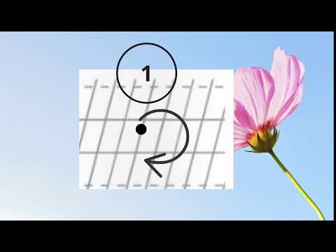 Semne grafice - semioval mic dreapta