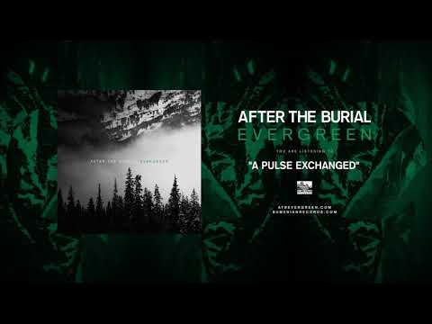 Video thumbnail for A Pulse Exchanged