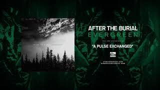 AFTER THE BURIAL - A Pulse Exchanged