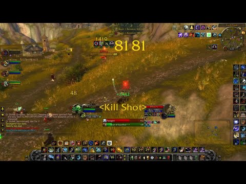 Two Fun Hunter BGs (Top DMG) WotLK Solo PvP - Rakzo