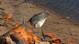 Catch and Cook Episode 9: Freshwater Drum