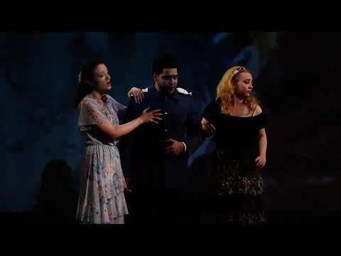 Gaetano Donizetti “L’elisir d’Amore” Act I - finale - “Signor sergente” Adina - Natalia Turchin