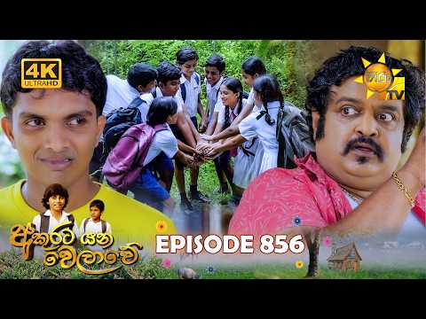 Hiru TV