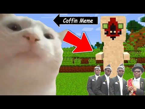 Coffin Meme but Cat is Vibing in Minecraft Part 6