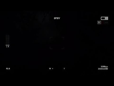Outlast 2 pt21