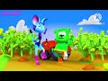 Gummy Bear Cotton Eye Joe Effects