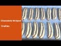 Chocolate Striped Biscuits : Zebra Cookies