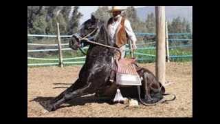 copla campesina (MARIACHI TLAPEHUALA)
