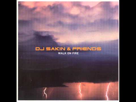 DJ Sakin & Friends - Dragonfly