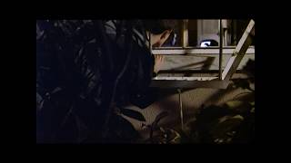 O Fantasma (João Pedro Rodrigues, 2000) | voyeur