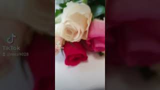 How To Bring Dead Flowers Back To Life