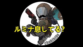 【DESTINY2】ルミナ形は好きだけど、息してる？？？
