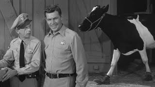 'The Andy Griffith Show' Episode 'The Cow Thief' Was Inspired By A True Story gameplay video by cmiller, 4:31 duration