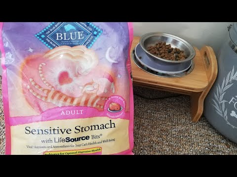 REVIEW ON BLUE SENSITIVE STOMACH CAT FOOD