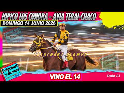 VINO EL 14  Avia Terai CH 14 06 2026
