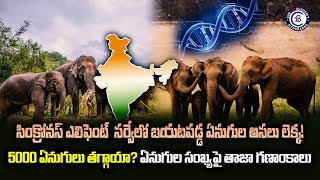 సింక్రోనస్ ఎలిఫెంట్  సర్వేలో బయటపడ్డ ఏనుగుల అసలు లెక్క! 5000 ఏనుగులు తగ్గాయా