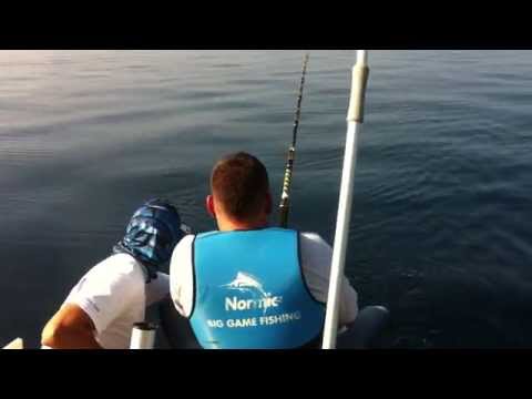 Tuna 35kg Rovinj 19.10.14