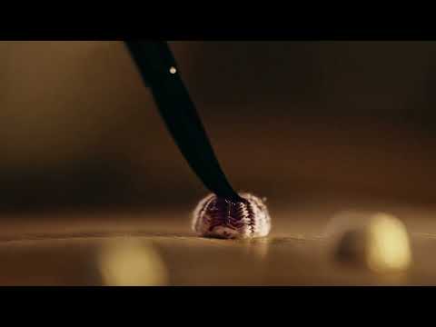 Chanel Les Exclusifs 2022 Coffret Sycomore