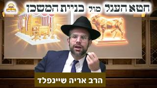 מדוע אנחנו דורשים פירוט על מצוות אבל לא על שטויות? | הרב אריה שיינפלד (קו ההלכה הספרדי) - התמונה מוצגת ישירות מתוך אתר האינטרנט יוטיוב. זכויות היוצרים בתמונה שייכות ליוצרה. קישור קרדיט למקור התוכן נמצא בתוך דף הסרטון