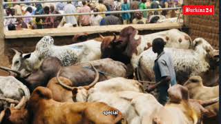 Suspension de l’exportation du bétail : le Burkina veut garantir l’approvisionnement du marché local