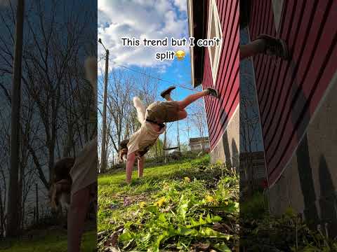 I’m a banana split🤣*therian *furry *alterhuman *antizoo ...