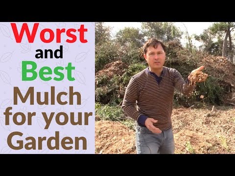 download lagu mp3 mp4 Oak Hardwood Mulch, download lagu Oak Hardwood Mulch gratis, unduh video klip Oak Hardwood Mulch