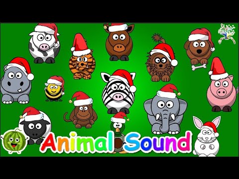 Animal Sound Song and more Chirstmas Song! ACH1 || Kids Songs and Nursery Rhymes || EduFam ~