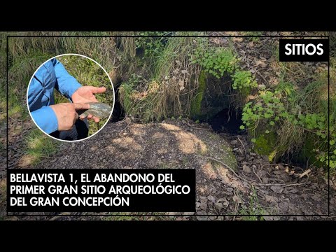 Sitios | Bellavista 1: El abandono del primer gran sitio arqueológico del Gran Concepción
