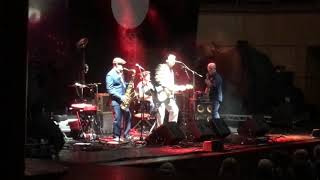 The Blow Monkeys Glasgow Concert Hall It Doesn’t Have to Be This Way 02.10.18