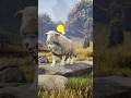 If A Wolf Is Dressed In Sheep S Clothing What Will Happen