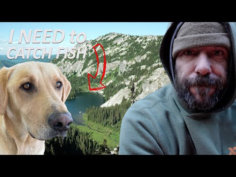 3 Day Wilderness Survival Challenge with my Dog