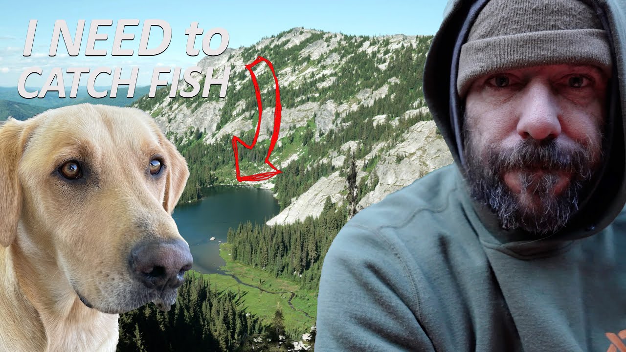 3 Day Wilderness Survival Challenge with my Dog