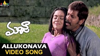 Majaa Songs | Allukonava Video Song | Vikram, Asin | Sri Balaji Video