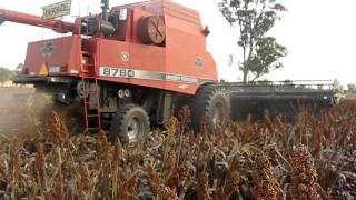 preview picture of video 'Massey Ferguson 8780 harvesting dry land Sorghum'