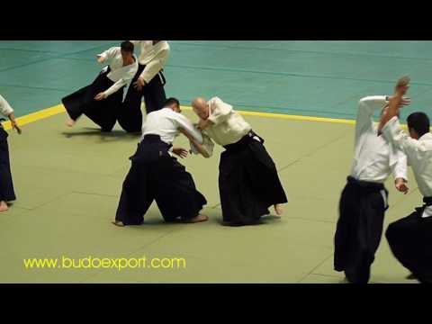 48th All Japan Aikido Demonstration