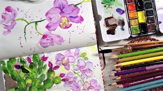 Sketchbook Sunday Loose Orchids in Watercolor/Colored Pencil