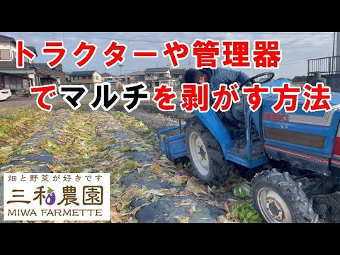 春になったら古いマルチを取り除いたほうがいいでしょうか？ 「はい」の場合、いつですか?  庭園