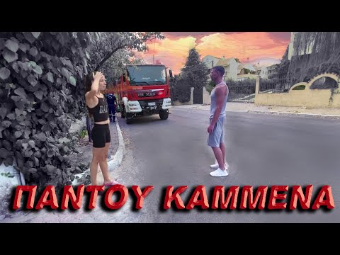 Φωτια στην Αττική - Η επόμενη μέρα || Επιστροφή στο Κρυονέρι