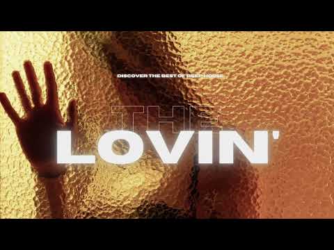 Ali Bakgor, ALEV & onebit. - Paradise