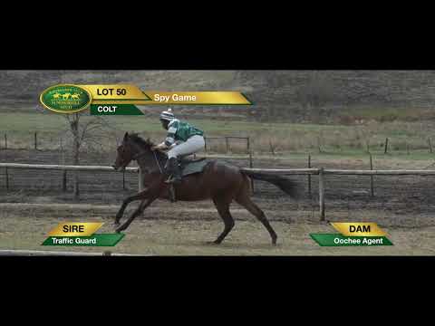 LOT 50 Spy Game (Traffic Guard - Oochee Agent)