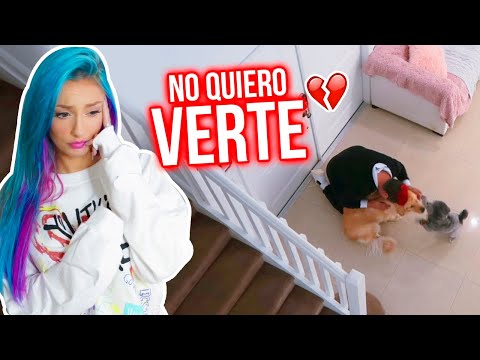 MI EX VINO A VERME Y ESTO PASÓ 💔 | Katie Angel