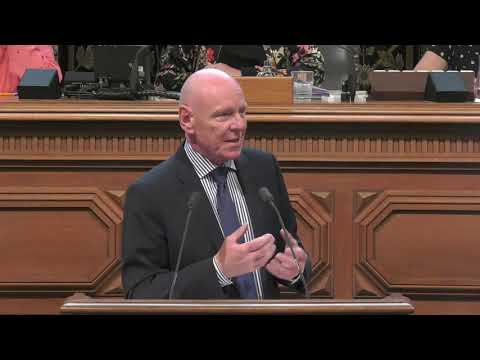 Thomas Kreuzmann, MdHB - Rede vom 19.06.2019