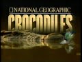 1996 National Geographic S Crocodiles On NBC Bump Aired February 4 1996