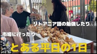 【21】とある平日の1日*市場に行ったりリトアニア語勉強したり|ヴィリニュス|リトアニアVlog|北欧・東欧|バルト三国|ヨーロッパ|海外生活|海外移住